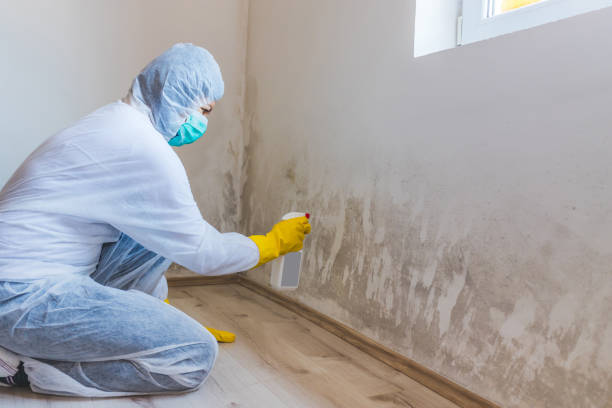 Crawl Space Mold Removal in St Helena, CA