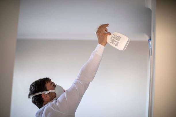 Best Mold Remediation  in St Helena, CA